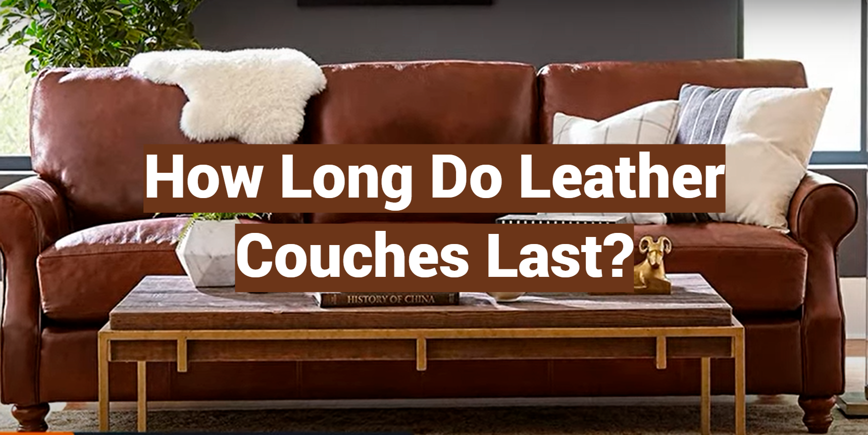 How Long Do Leather Couches Last? LeatherProfy