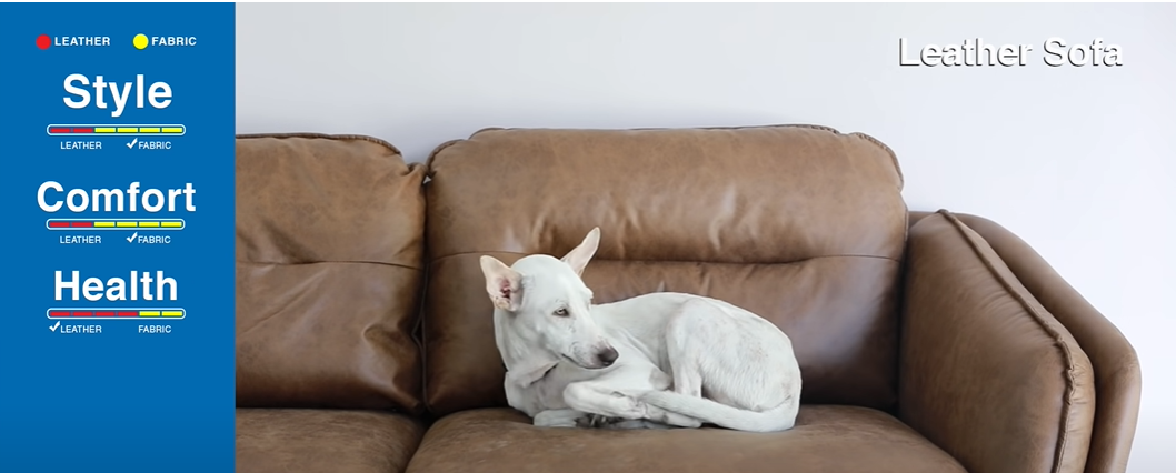 Leather Sofas in General